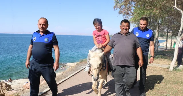 Atlı zabıtanın Fındık ına çocuklardan yoğun ilgi Van Haberleri