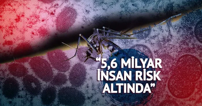 20 yıl sonra geri döndü, tedavisi yok! 5,6 milyar insan risk altında : Chikungunya virüsü tüm dünyayı tedirgin etti