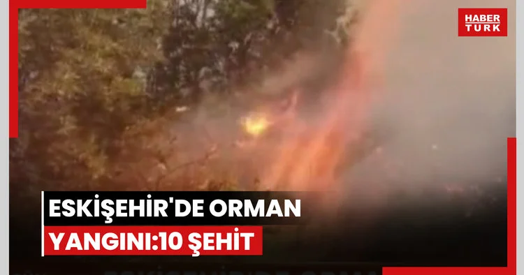 Eskişehir deki yangında 5 i orman işçisi, 5 i AKUT çalışanı 10 kişi şehit oldu
