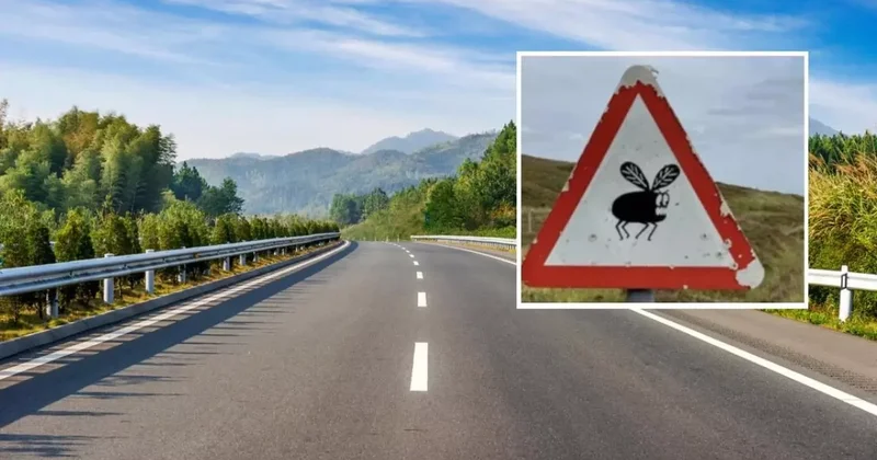 Yeni trafik levhasını gören bir daha bakıyor!