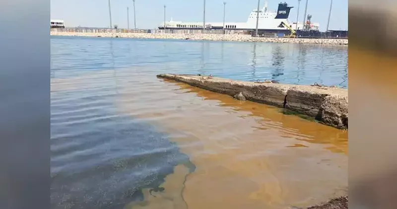 Marmara Denizi’ne atık yağ döktüğünden şüphelenilen işletmeye inceleme