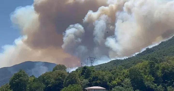 Sakarya da orman yangınlarıyla ilgili paylaşım yapan meclis üyesi gözaltına alındı