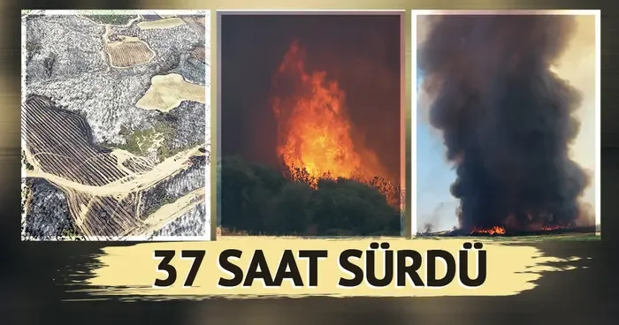 37 saat sürdü! Tekirdağ dan Çanakkale ye sıçrayan yangın sonrası kahreden manzara: 119 futbol sahası büyüklüğünde...