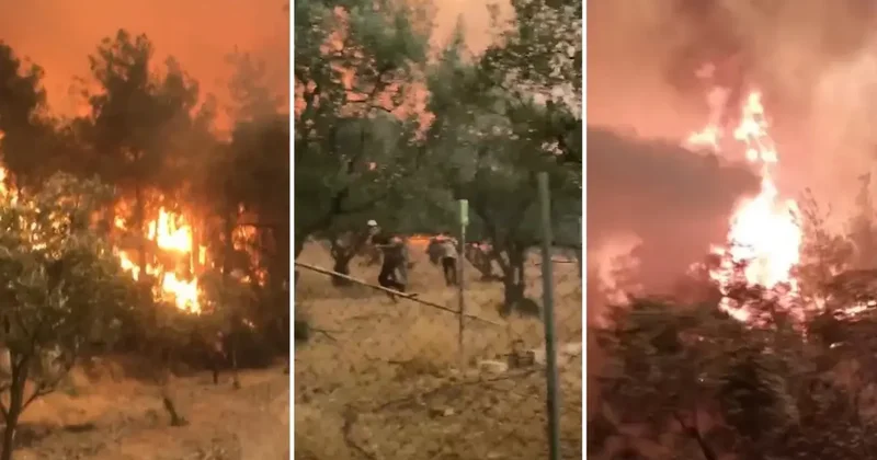 4 gündür süren yangında dehşet veren görüntüler: Abi çıkmamız lazım, ortada kaldık