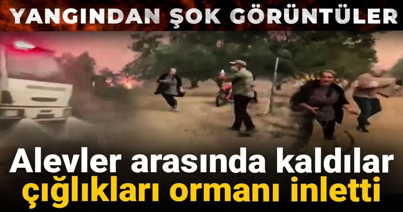Alevler arasında kaldılar, çığlıkları ormanı inletti! Yangından şok görüntüler