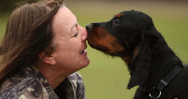 New York ta emsal karar: Köpekler artık yasal olarak aile üyesi kabul edilecek
