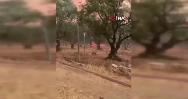 Alevlerin arasındaki dehşet anları kamerada: Çıkın çıkın!