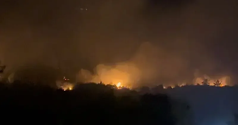 Sakarya Geyve’de yeni orman yangını; Doğançay daki yangın kısmen kontrol altında
