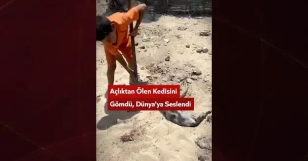 Gazzeli çocuğun sözleri yürekleri dağladı: Kedim açlıktan öldü yarın belki ben de giderim
