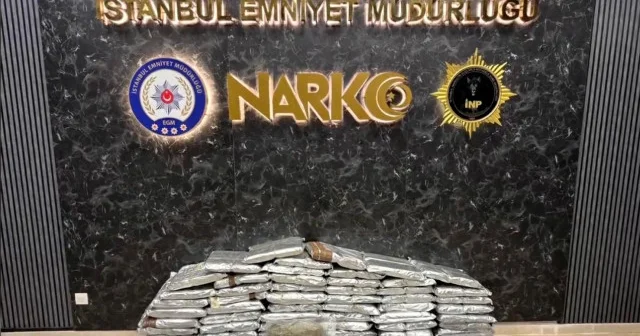 İstanbul da zehir tacirlerine operasyon: 144 kilogram skunk ele geçirildi, 5 gözaltı İstanbul Haberleri