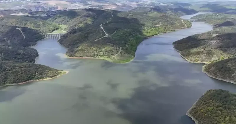 Endişelendiren rekor! Yeni rakamlar belli oldu