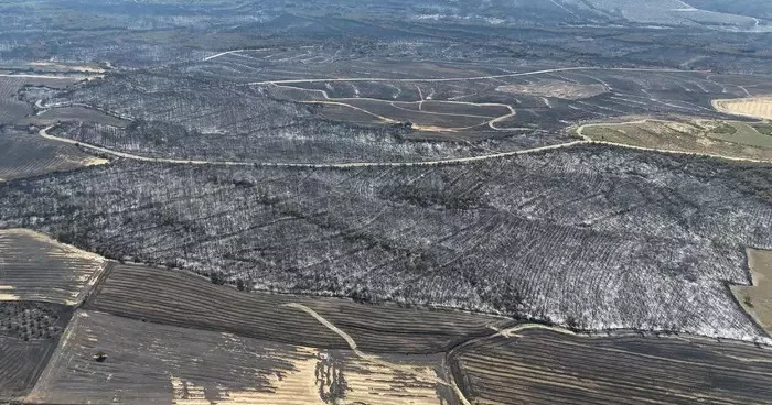 Tekirdağ yangınında alevlerin sıçradığı Çanakkale de 85 hektar orman zarar gördü