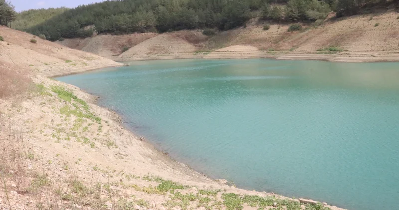 Adana da kuraklığın etkisi altına girdi: Üç barajın doluluk oranı düştü!