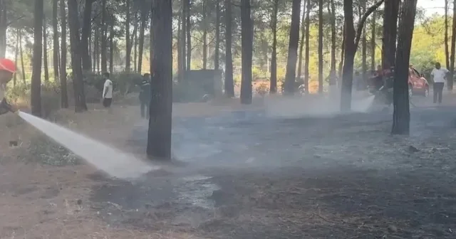 Muğla da ekiplerin hızlı müdahalesi yangının yayılmasını önledi VİDEO İZLE