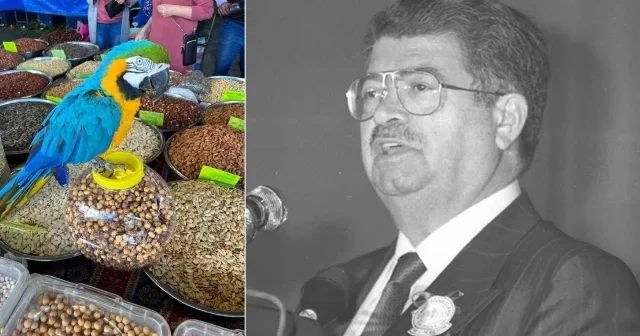 Turgut Özal’ın papağanı ‘Cabbar’ bir kez daha çalındı Gündem Haberleri