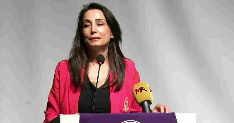 Hatimoğulları: Komisyon, Öcalan ile görüşmeli!