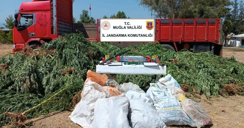 Ailece ticaretini yapıyorlarmış