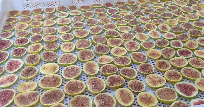 İncir cipsi sofraların yeni gözdesi oldu