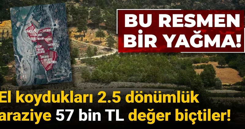 Bu resmen bir yağma! El koydukları 2.5 dönümlük araziye 57 bin TL değer biçtiler