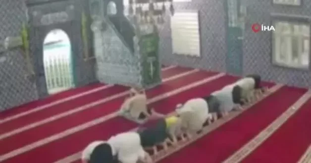 Camide sürpriz misafir! İmam fark etti: Cemaat namaz kılarken bir anda ortaya çıktı
