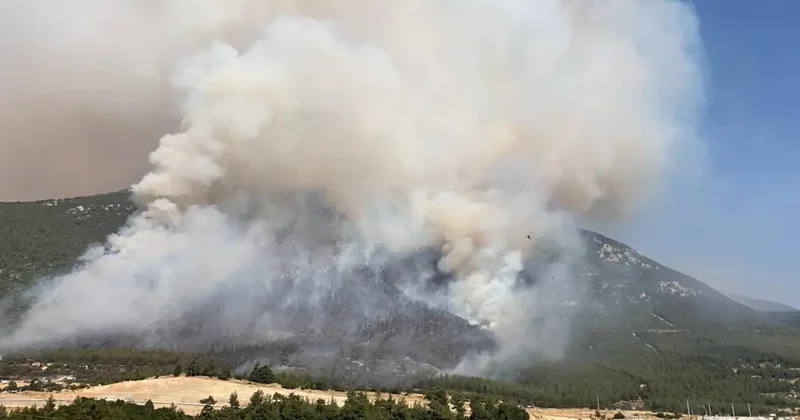 Denizli deki orman yangınıyla ilgili 1 kişi gözaltına alındı