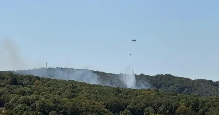 Sarıyer de ormanlık alanda yangın! Bölgeye itfaiye ekipleri sevk edildi