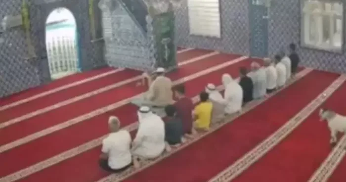 Mardin’de camiye giren oğlak güvenlik kamerasına yansıdı