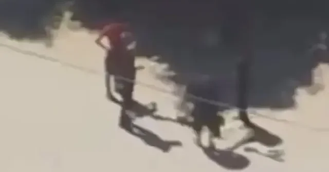 İsrail göçe zorladığı Filistinlileri yola çıkarken vurdu VİDEO İZLE