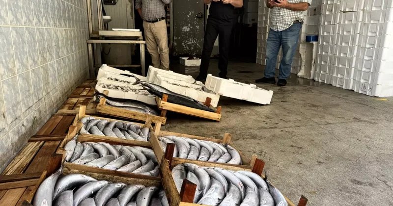 Bir gecede yaklaşık 9 bin palamut avlandı
