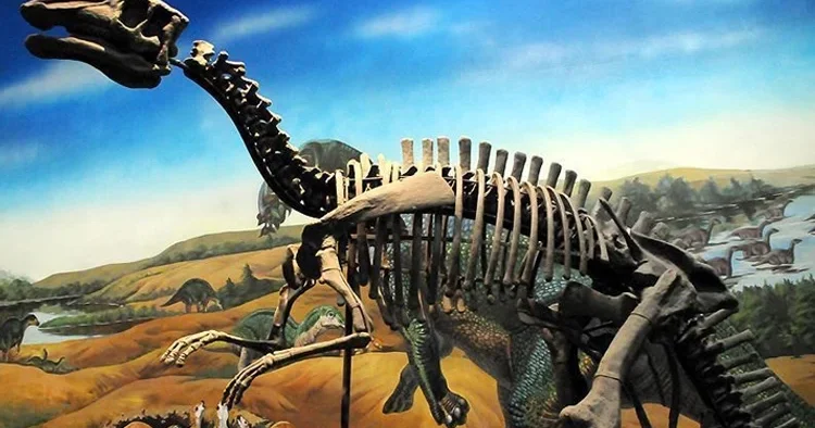 Yeni bir dinozor türü keşfedildi