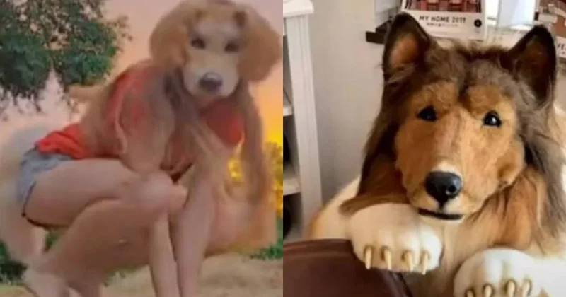 Köpek olmak için servet harcayan Japon adama yeni rakip çıktı Sözcü Gazetesi