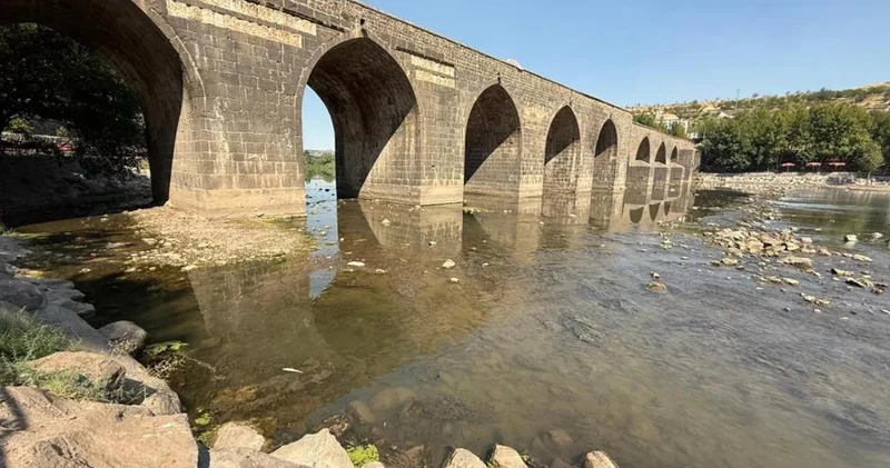 Kuraklık ve kirliliğin vurduğu Dicle Nehri nde toplu balık ölümleri görüldü
