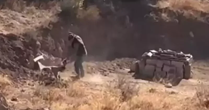 Sivas ta yavru köpeğe sopalı şiddete gözaltı