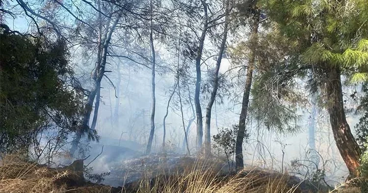 Manavgat ta tarım arazisinde başlayan yangın ormanlık alana sıçradı