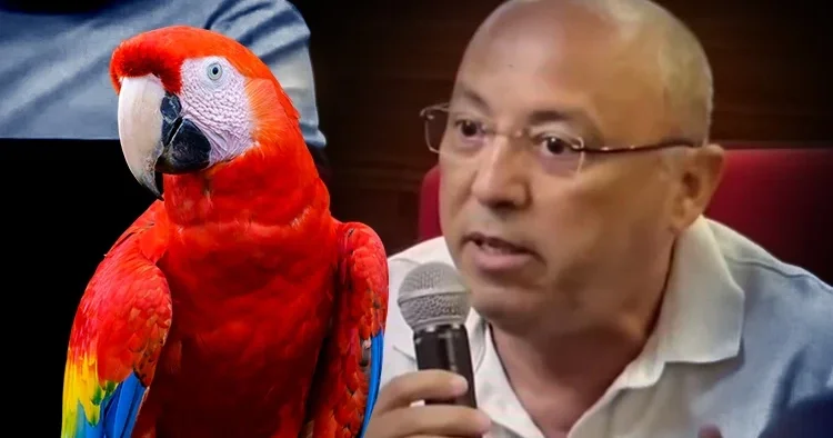 Papağan kararına tepki gösterdiler: 6 milyon avroya kadar zararımız var