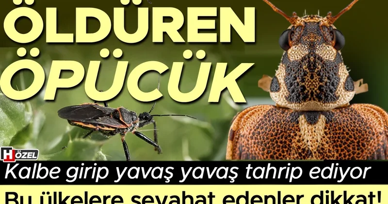 Öldüren öpücük: Yavaş yavaş kalbe girip tahrip ediyor! Chagas hastalığı bize de gelir mi? Bu ülkelere sehayat edenler dikkat!