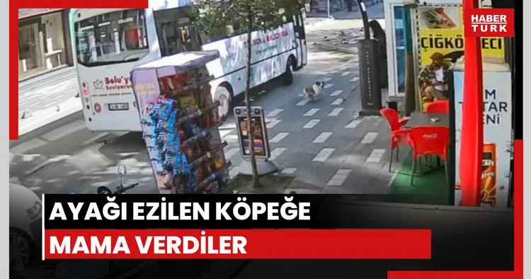 Ayağı ezilen köpeğe mama verdiler