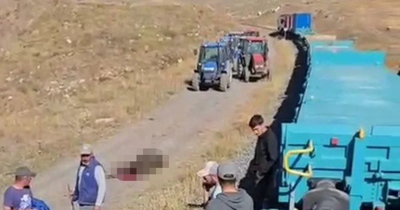 Kars ta yük treninin çarptığı 5 büyükbaş telef oldu