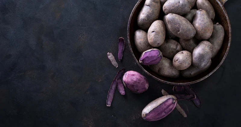 10 farklı patates 10 farklı yemek: Mor, kırmızı ve altın patates ile yapabileceğiniz birbirinden çeşitli tarifler!