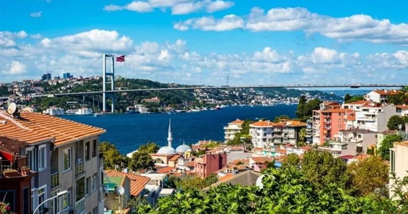 Türkiye de eşi benzeri yok: Her sokak bir kuş adı, işte İstanbul un sıra dışı semti Sözcü Gazetesi