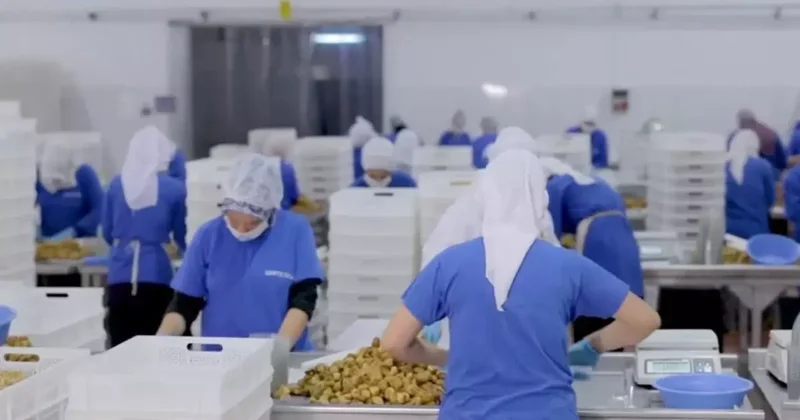 14 ülkeye ihracat yapan Türk gıda devi konkordato ilan etti