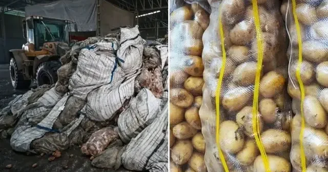 Antalya Kepez’de 1,5 ton patates imha edildi Gündem Haberleri