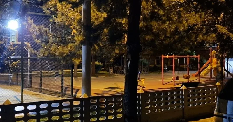 ‘Gözümü kör eden cezasını çeksin’