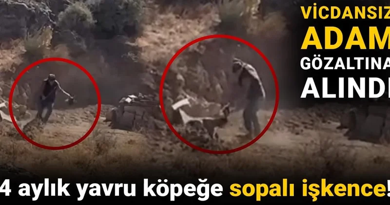 4 aylık yavru köpeğe sopalı işkence! Vicdansız adam gözaltına alındı
