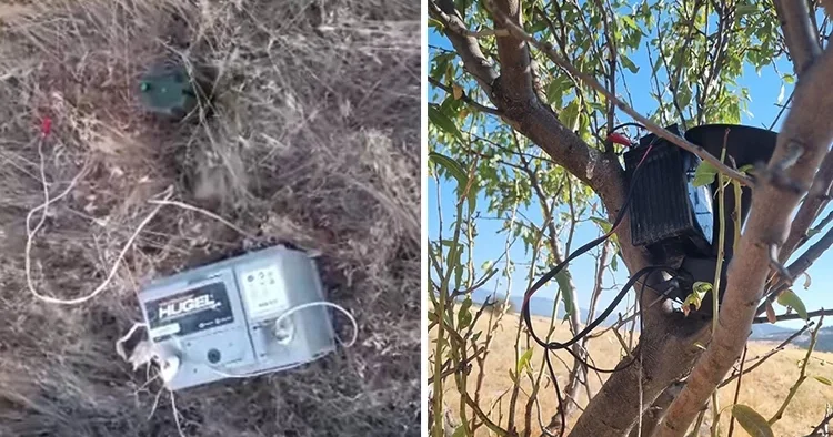 Kurdukları özel düzenekle avlıyorlardı: Fotokapanla yakalandılar