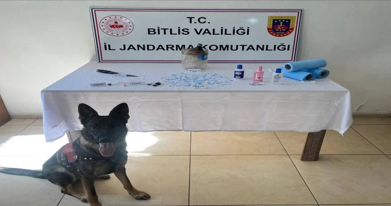 Peçetelere emdirilen uyuşturucu ele geçirildi: Jandarmadan dev operasyon