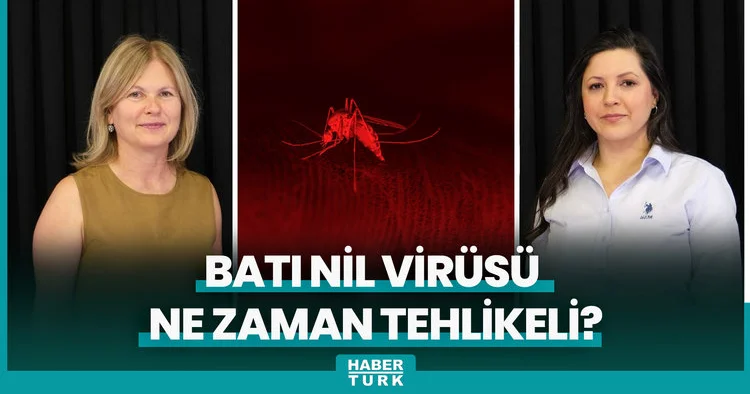Sıcaklarla gelen sivrisinek tehlikesi! Bir bebeğin hayatını karartmıştı: Batı Nil Virüsü ne zaman te