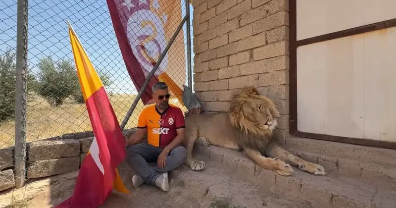 Galatasaraylı taraftar, şampiyonluğu aslanlarıyla kutladı Fanatik Spor Haberleri Video