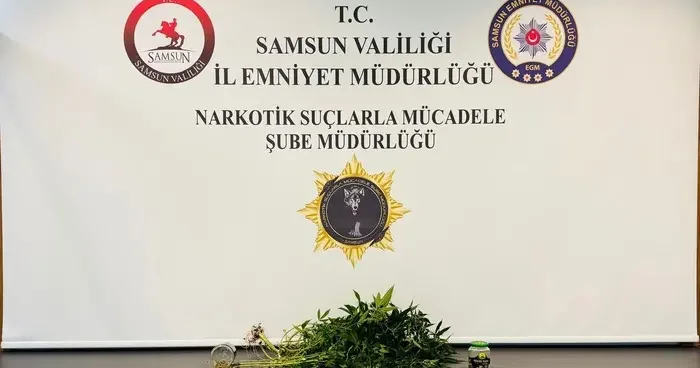 Yer: Samsun! Evde kurdukları serada kenevir yetiştiren 2 kişi gözaltına alındı