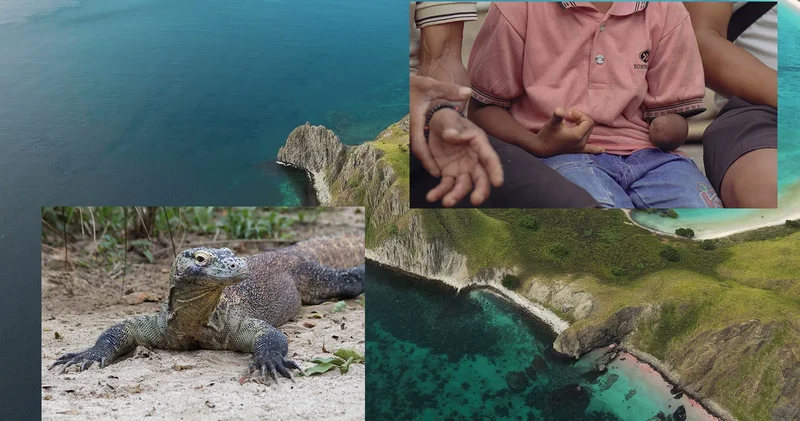 Komodo ejderi saldırısı nedeniyle kolu kesildi, Türk ekip yardım etmek istiyor